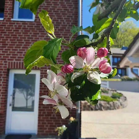 Διαμέρισμα Neustadt-wied